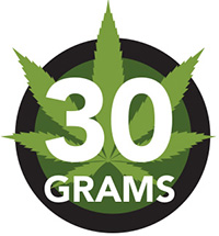 30 grams icon